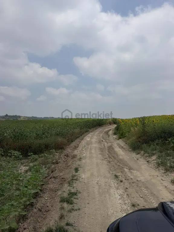 İmar'dan Kılıçlı Badras Mevkiinde İleride İmar Beklenen Bölgede 2