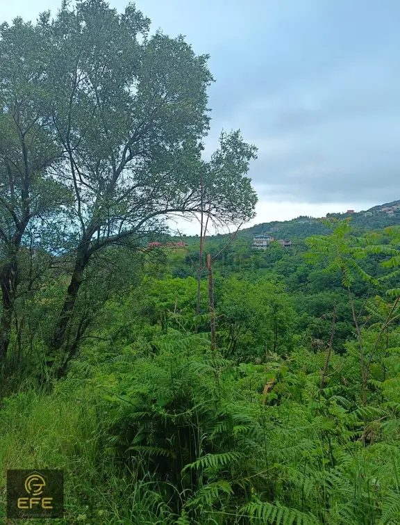 Efe Gayrimenkulden Mersinde Ana Yola Yakın Satılık Arsa 1