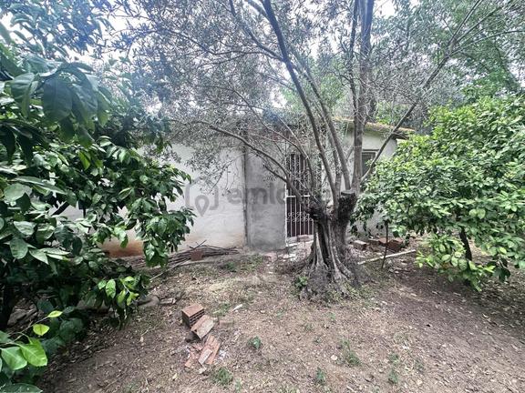 Zeytinli Çay Kenarı İçinde Elk Su Ve Yapı Olan Zeytinlik 1
