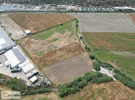 Milas Savranda 16.552 M² Satılık Tarla Üretim Tesisleri Bölgesi 2