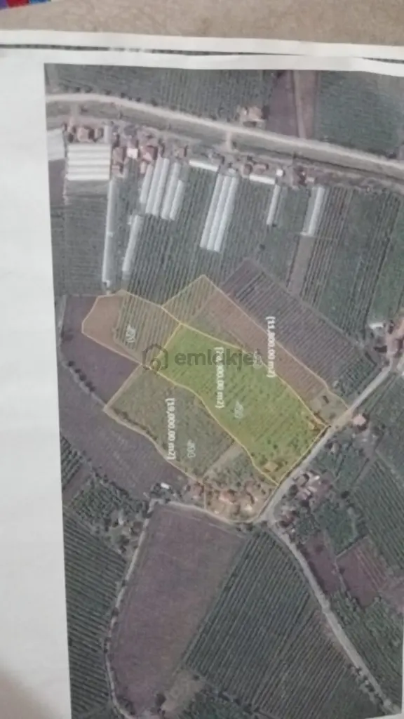 Çarşamba Karamustafalı'da Satılık 3469 M² Tarla 2