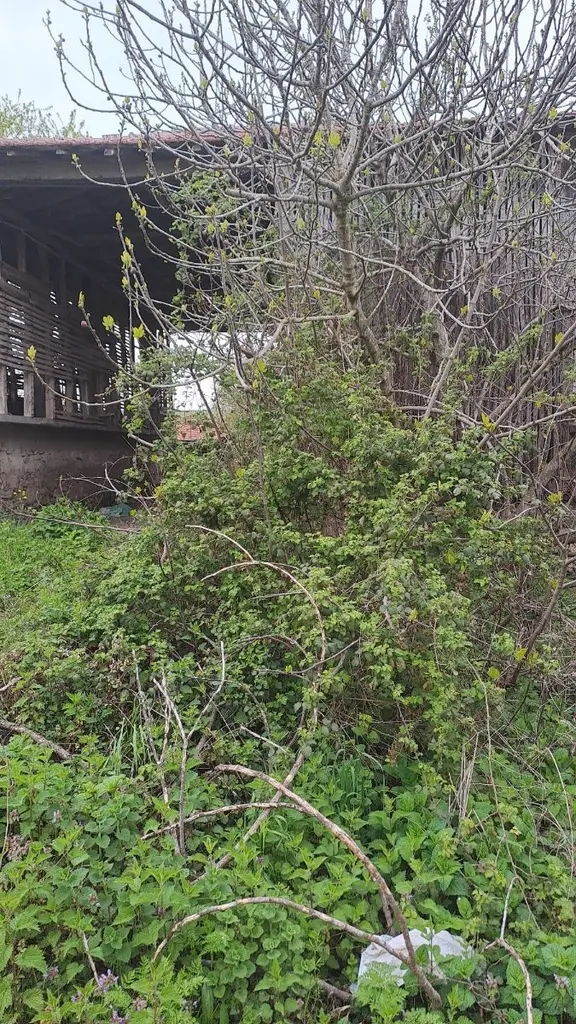 Sakarya Kaynarca İmarlı Arsa 2