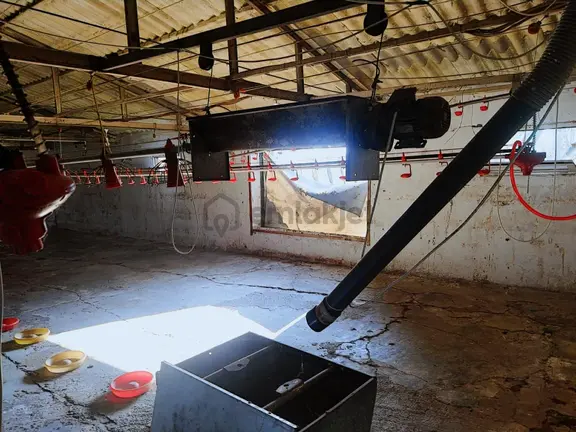 Kaynarca,%40 İmarlı ,600 M2 Çiftlik 2 Katlı Ev 2