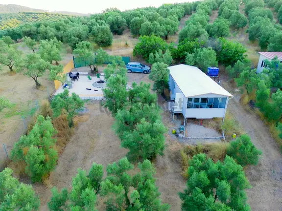 Remax Advantage Mirzaoba Köye 150m, 45m2 Bağ Evi Olan Zeytinlik 1