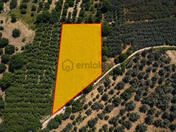 ▀▄mera Emlaktan Havran Tekke Mah. Doğayla İç İçe 4.948m2 Tarla 2