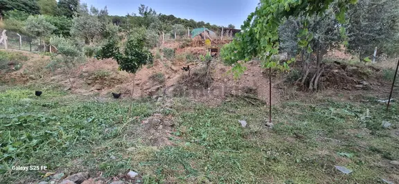 Koy Evi Satilik 1