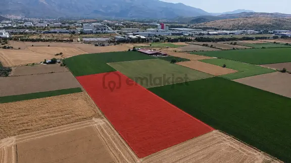 A Plus Gayrimenkulden 16.720 M2 Tire Osb Yakını Verimli Tarla​ 1