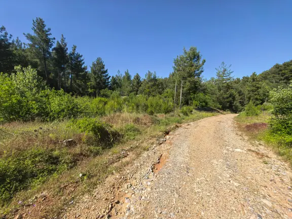 Stop’tan Fethiye Nif’te *muhteşem Lokasyonda* Satılık Tarla 2