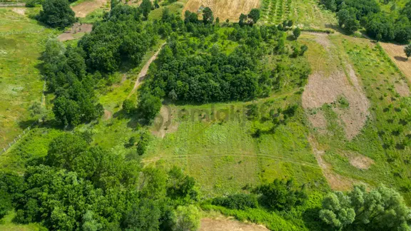 Kocaeli Karamürsel Çamdibi %5 İmarlı 6506 M2 Satılık Tarla 2