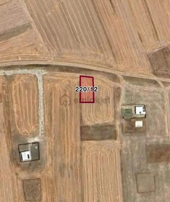 Tekirdağ Ergene Misinli De Cadde Cephe İmarlı İfrazlı Arsa 1