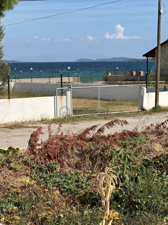 Deniz Manzaralı Bahçeli 2+1 Müstakil Ev 1