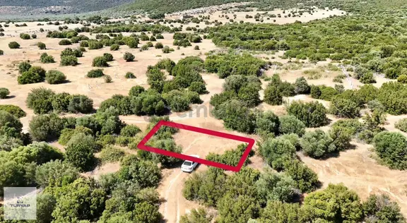 Didim Akyeniköy De Yatırımlık Arsa Fırsatı 1
