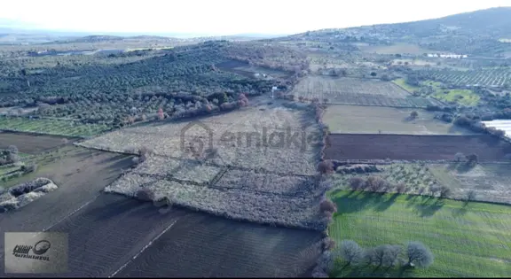 Çanakkale,ezine.gökçebayır Köyünde Satılık Hobi Bahçesi 1