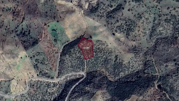 Aydın Yenipazar Paşaköyde Kadastral Yola Cepheli Müstakil Parsel Arazi 1