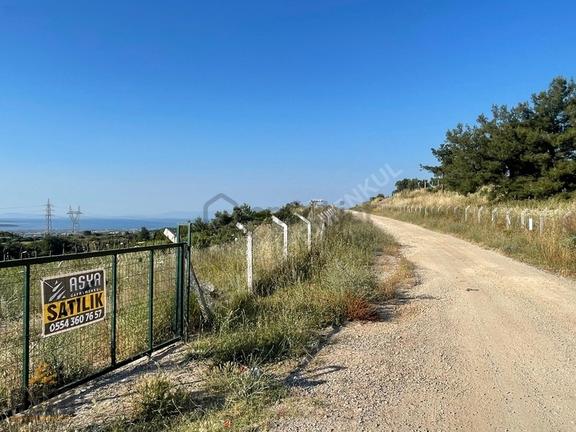 Urla Yenice'de Full Deniz Manzaralı/ İmar Sınırında/ Fırsat Arsa 2
