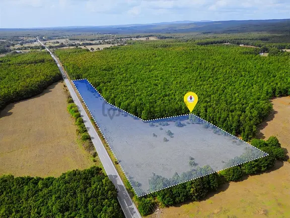 Binkılıç'da 12.899m² Tek Tapu Yola Cephe Satılık 1