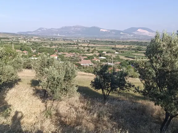 Köy Kenarı 9 Dekar Hayvancılık Ve Yatırımlık Tarla 1