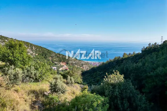 Alanya Hacımehmetli’de Hisseli 941 M² Manzaralı Tarla 1