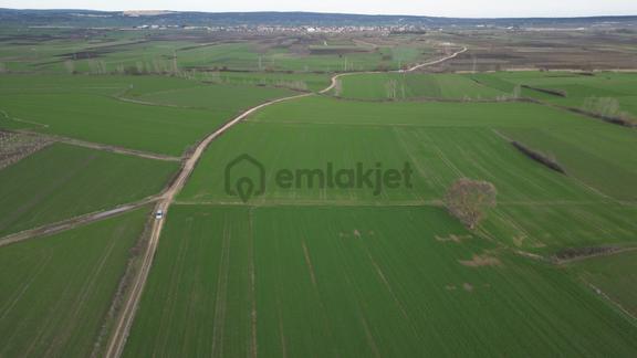 Tekirdağ Saray Edirköyde Tarladan 254 M² Hisse 2