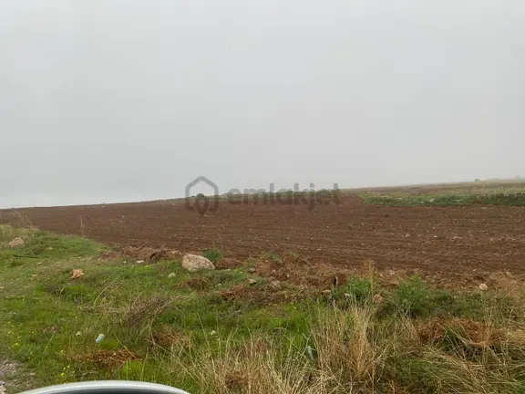 Kadınhanı Şahören'de Yola Cepheli Müstakil Satılık Tarla 2