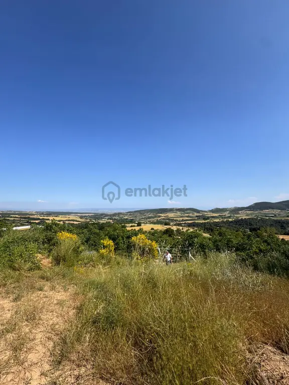 🌿 Yüksek Verimli Meyve Ağaçlarıyla Donatılmış Satılık Tarla 1