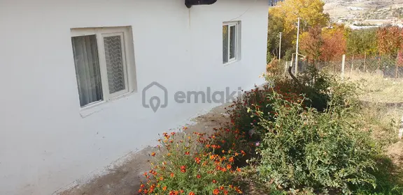 Ev, Bahçe, Hobi Bahçesi, Tarih 1