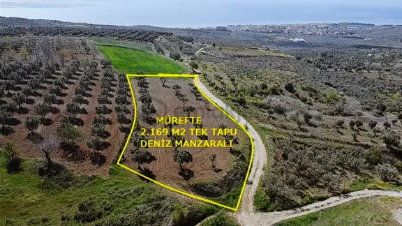 Mürefte Merkezde Satılık Tek Tapu Deniz Manzaralı 2.169 M2 1