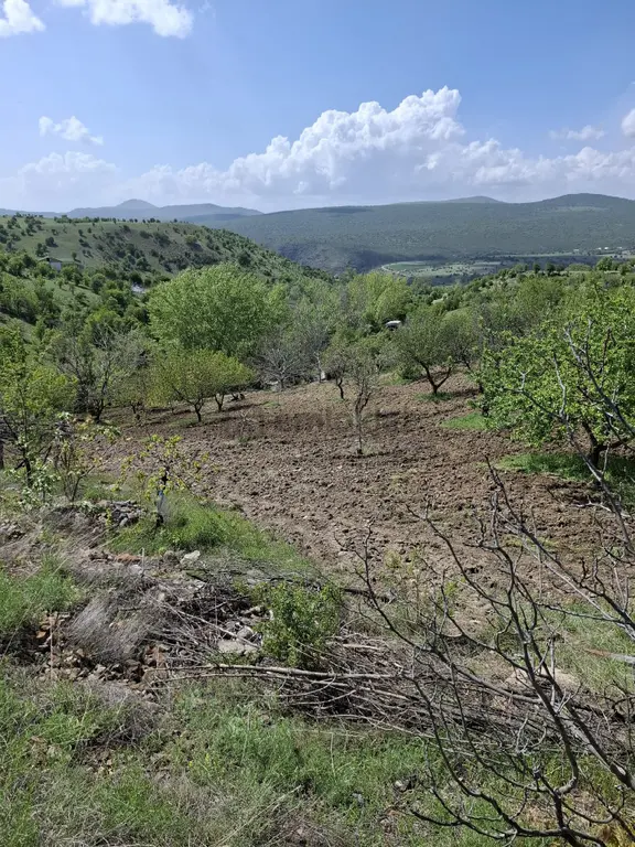 Bağ Bahçe Uygun Fiyata Pazarlıklı 2