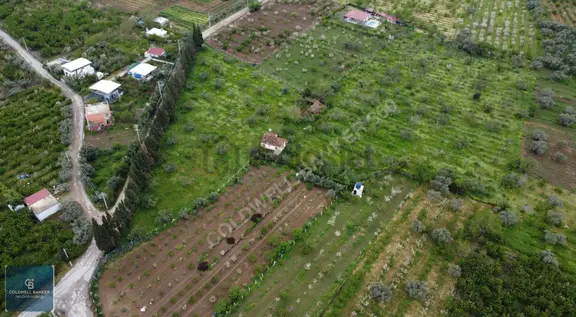 Kemalpaşa'da Yola Cephe 17.870m² Satılık Müstakil Tapulu Bağ 1