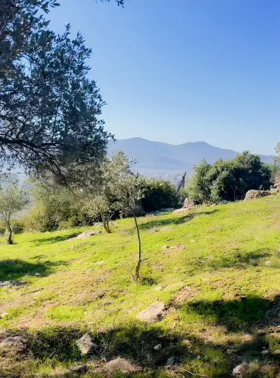 Müstakil Araç Takaslı Tek Tapu 3.700 M2 1