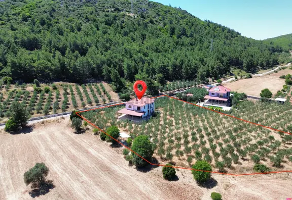 Urla Nohutalan'da 10.478 M² Zeytinlik Ve Mevcut Yapı 1