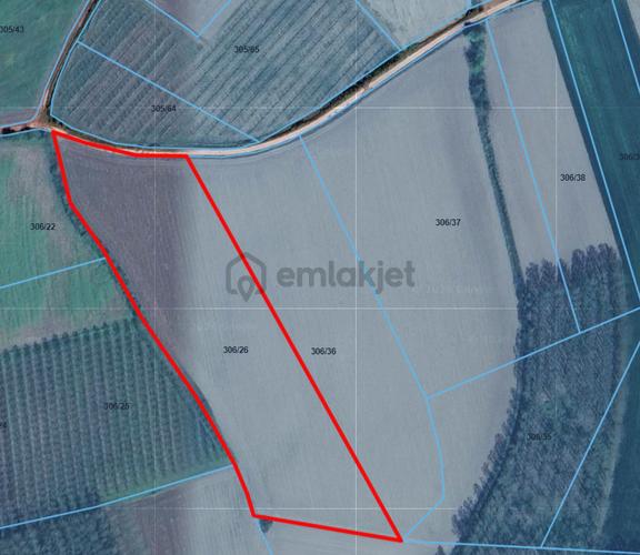 Söğütlü Maksudiye'de Yatırımlık 49 Dönüm Geniş Arazi 2