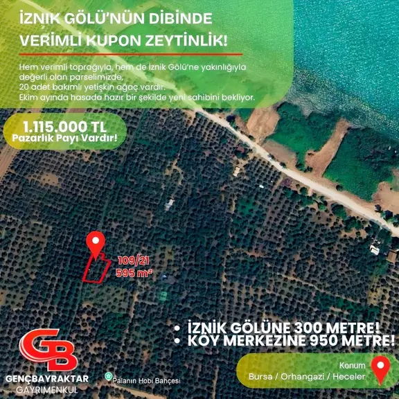 Gençbayraktar'dan İznik Gölüne 300 Metre Mesafede Zeytinlik 2