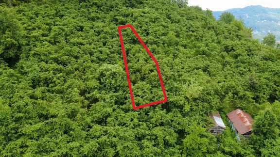 Giresun Yağlıdere Kızılelma'da Satılık Fındık Bahçesi 2