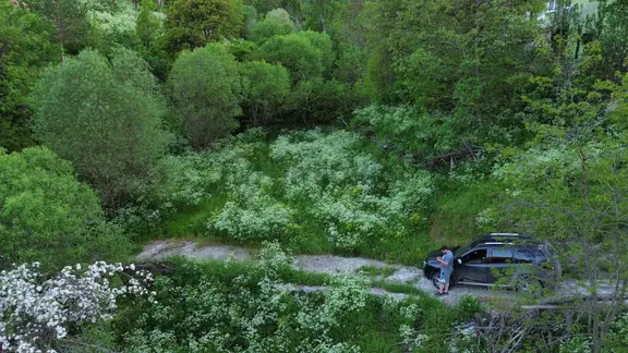 Giresun Alucra Çamlıyayla'da Satılık Tarla 2