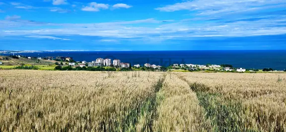 Full Deniz Ve Şehir Manzara Lüxs Havuzlu Yada 100 Adet 2+1 Daire Projesine Uygun Arsa 1