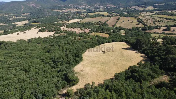 Çanakkale Bayramiç Aşağışapçı Köyün'nde Satılık Tarla 2