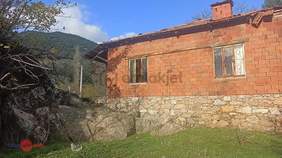 Bergama Topalar Mah. Tek Katlı Evi Olan Zeytinlik 1
