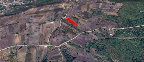 Roma' Dan Yıldırım' Da Satılık Tarla 2