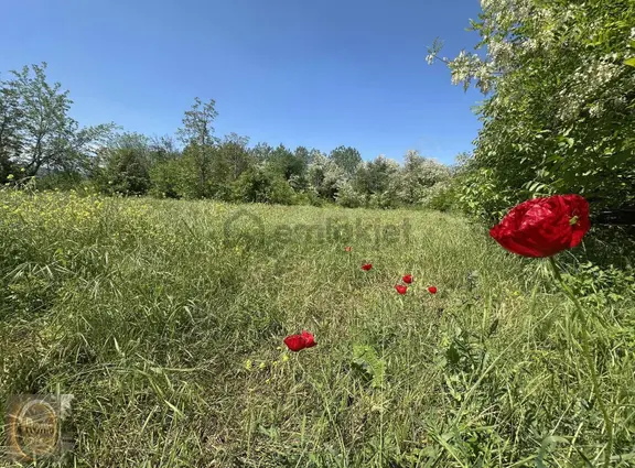 Roma' Dan Kurşunlu Mahallesi'nde Satılık Tarla 2