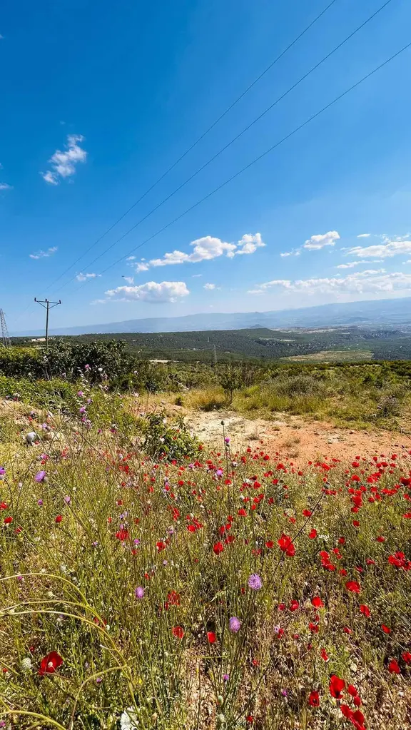 Bağcağızda Mut Ve Gölet Manzaralı Arsa 2
