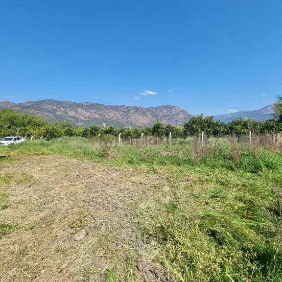 Toparlar'da Acil Satılık 500m2 2b Arazi 2