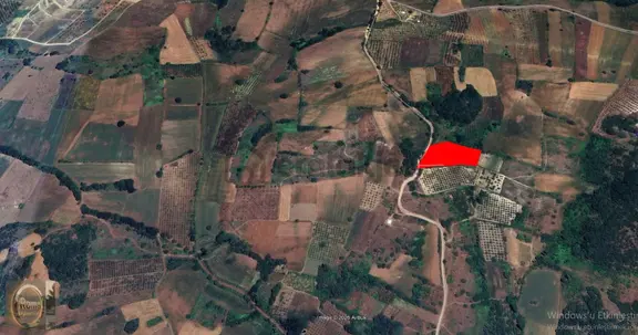 Roma' Dan Şehitler Mahallesi' Nde Satılık Tarla 1