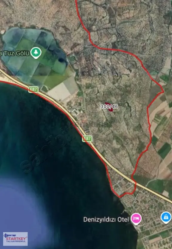 Ayvalık Küçükköy'de Satılık Deniz Manzaralı Zeytinlik 1