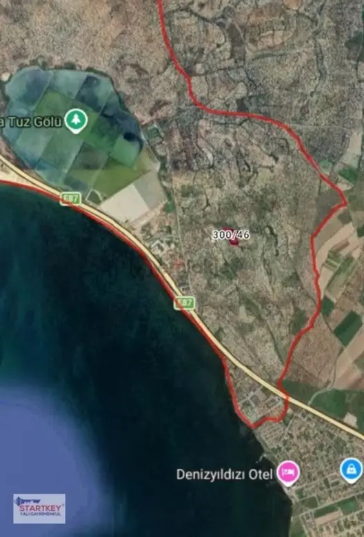 Ayvalık Küçükköy'de Satılık Deniz Manzaralı Zeytinlik 1
