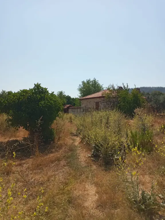 Stratonikeia Antik Kentinde Müstakil Ev (pazarlık Payı Vardır.) 1