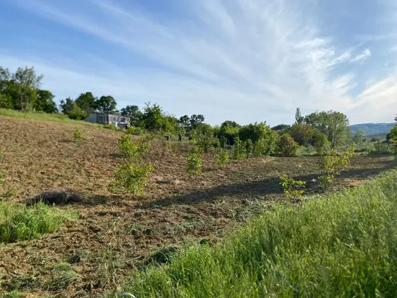 Delux'den Şarköy'de İçinde Bağ Evi Bulunan 5.698 M2 Satılık Arsa 2