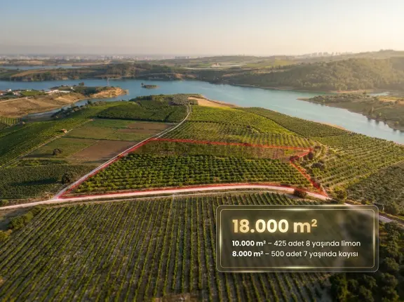 Ra Gayrmenkul Akçakocalı 18.000m2 Satılık Bahçe 2