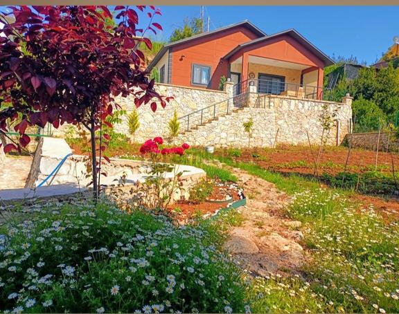 Yayla Zamanı 2