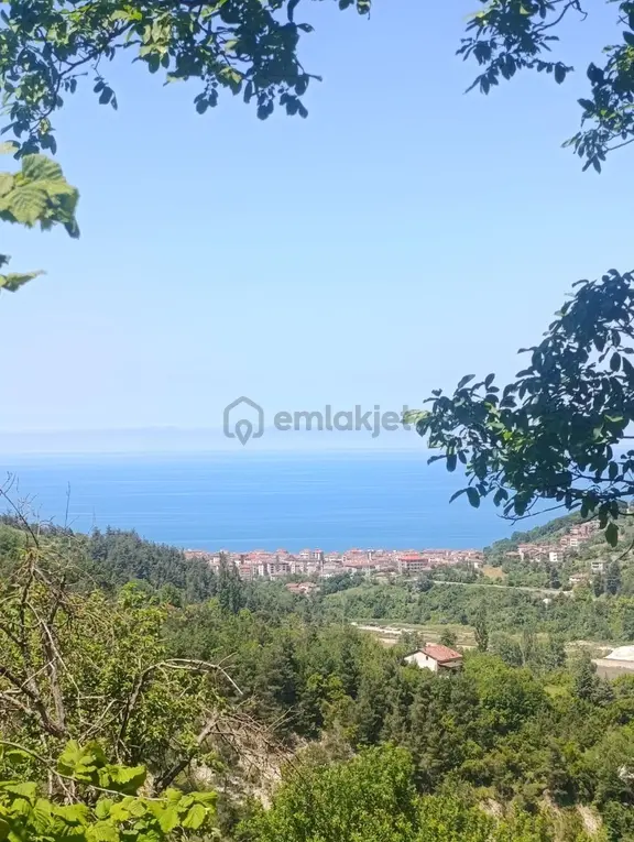 Zeybek'*den Bozkurt Merkez Meteoroloji Tepesi.5.800.m2 İmarli 1